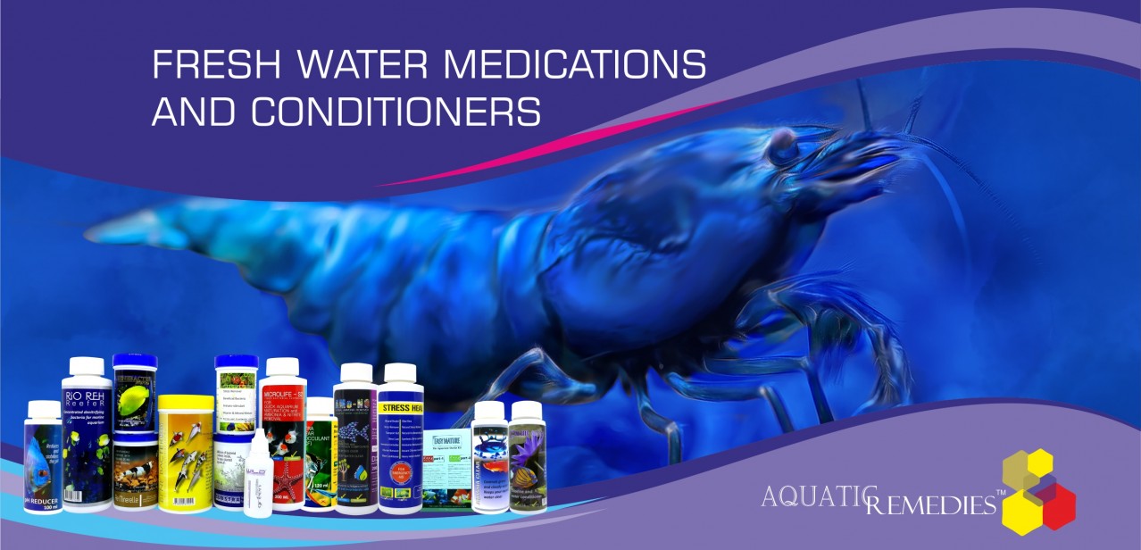 Freshwater Conditioners & Medications